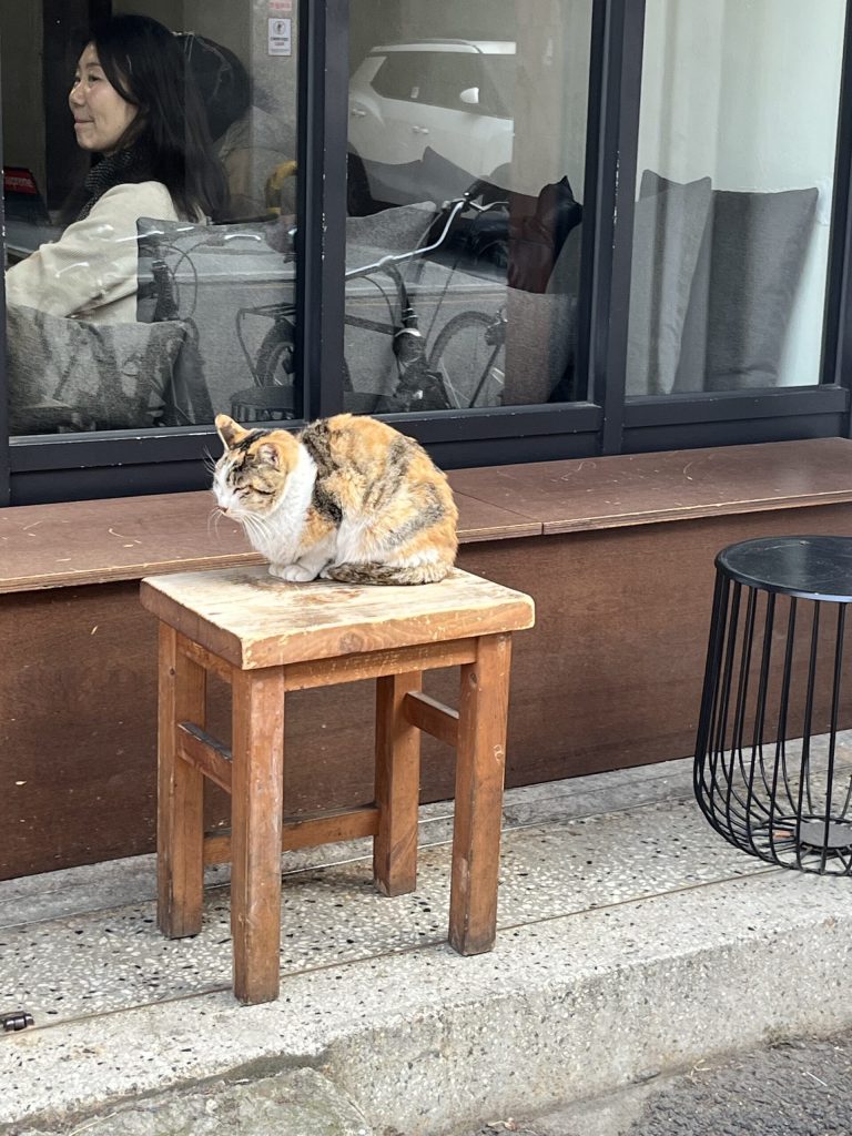 韓国旅行記録🇰🇷【2日目】