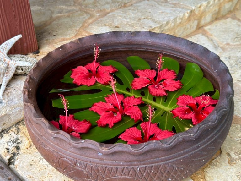 沖縄本島旅行記録２泊3日