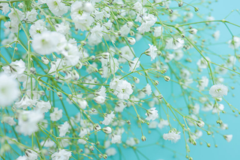 最近読んだ北欧にまつわる本３選